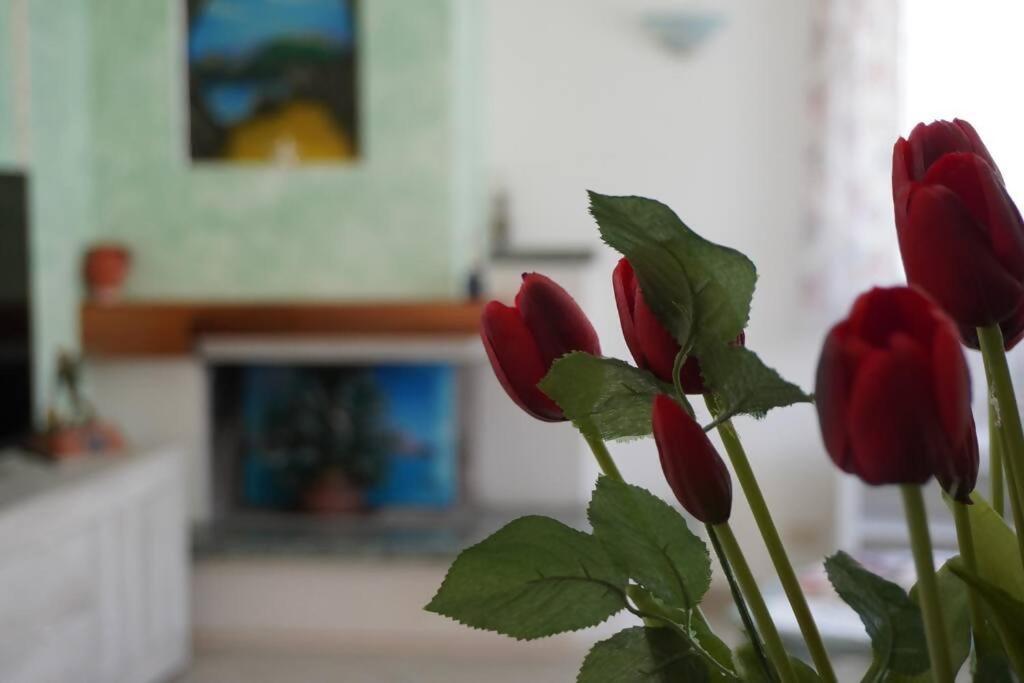7 Posti A 3 Minuti Dal Mare - Carbone Villa *